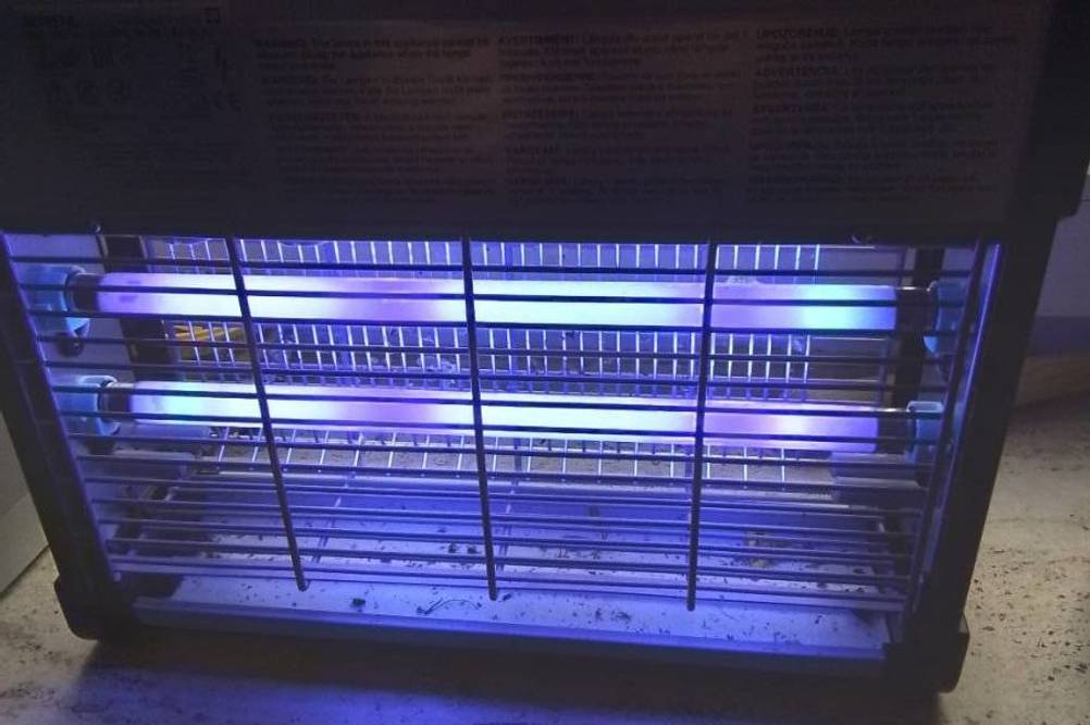 Insektenvernichter getestet: eingeschaltetes Gardigo-Modell mit Hochspannungsgitter mit blauen Leuchtröhren befindet sich auf einer Fensterbank im Außenbereich.