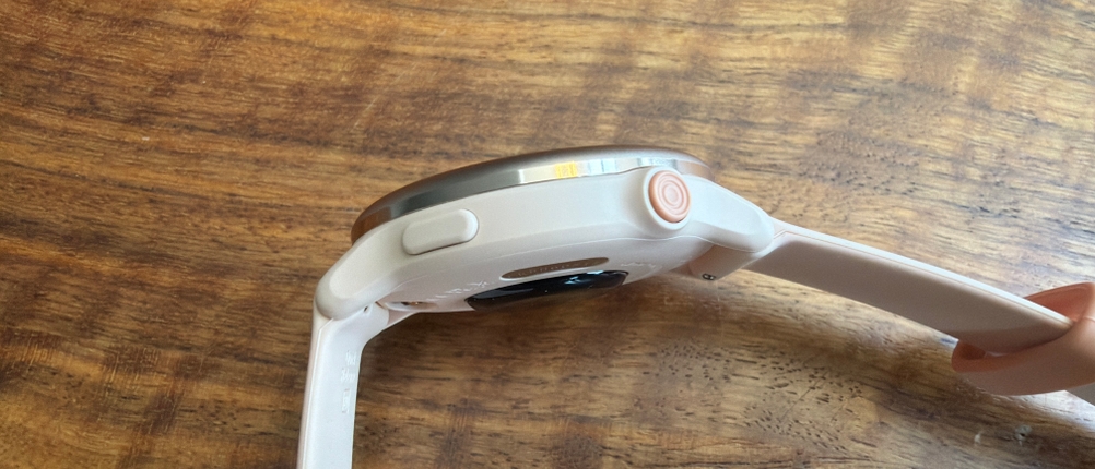 Der Querschnitt der Garmin Vivoactive 6