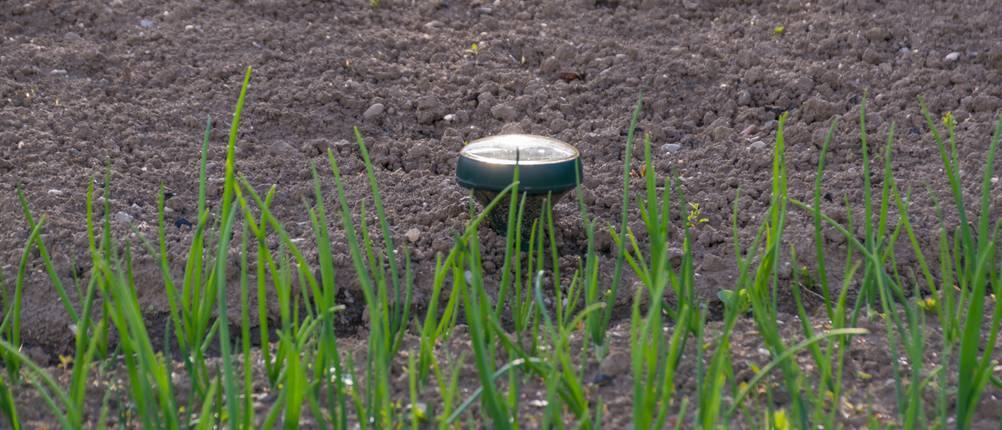 Garten-Ultraschall-Schädlingsbekämpfer im Beet getestet.