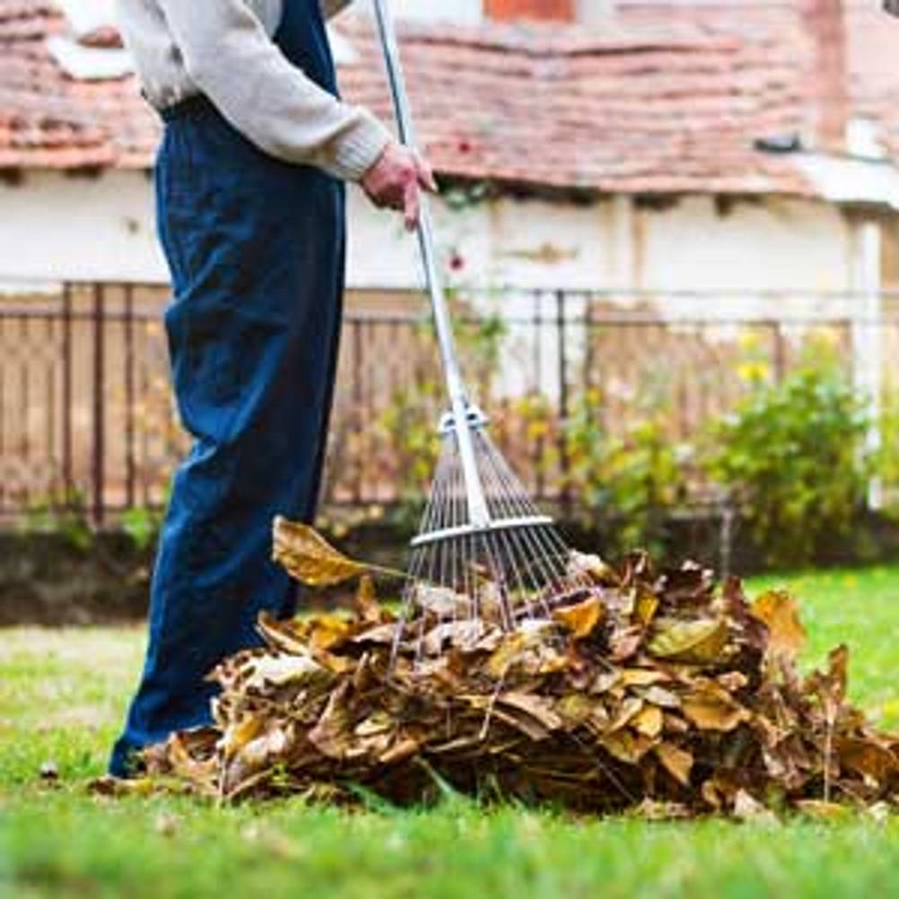 Mann mit Harke testet Gartenarbeit im Herbst
