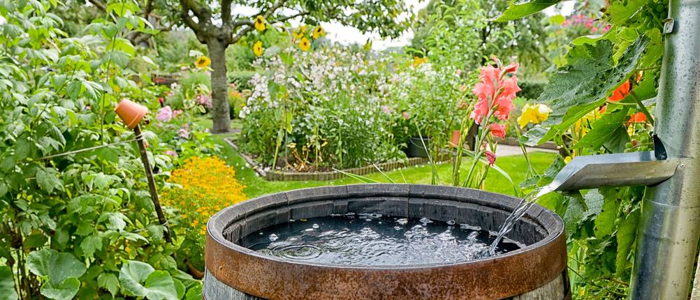 Gartenbewässerung im Test: Regentonne steht unter einer Regenrinne mit laufender Wasserzufuhr.