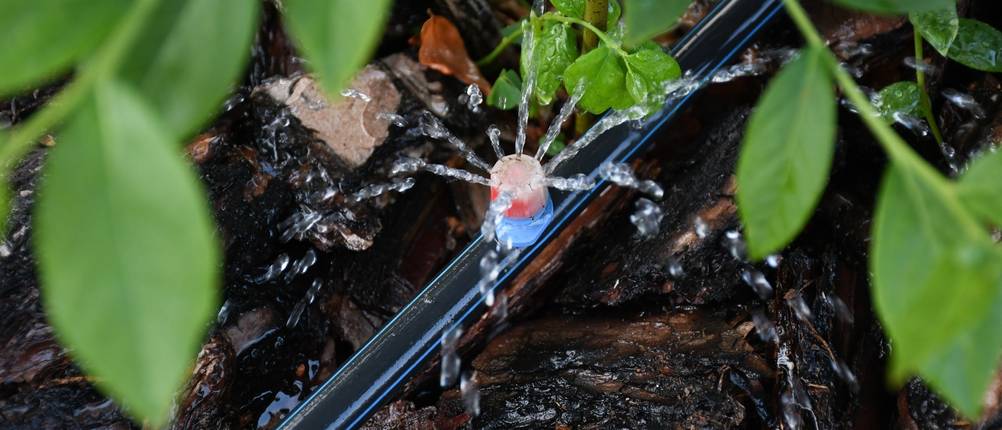 Smarte Gartenbewässerung im Beet.