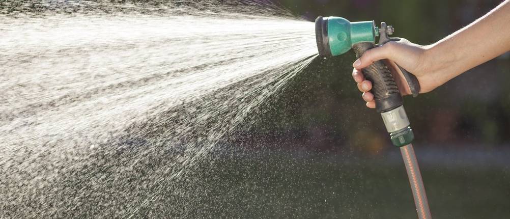 Gartenbrause beim Wassersprühen