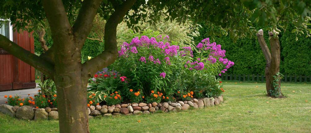 schönes Blumenebeet im Garten