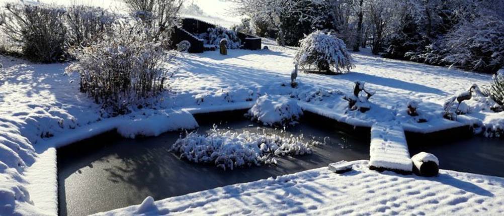 gartenteich winter vorbereitung fische pflege
