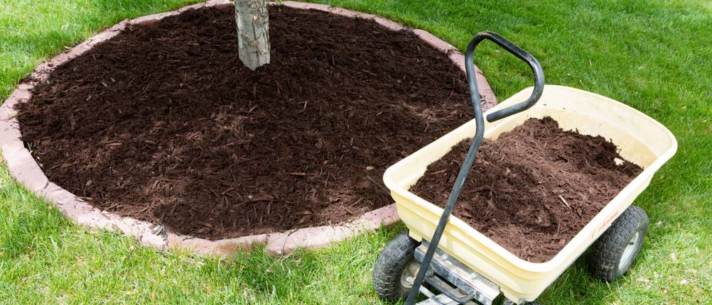 gartenwagen-test