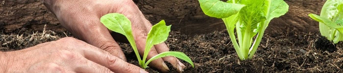 Tests & Vergleiche aus der Kategorie Gartenwerkzeug