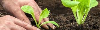 Tests & Vergleiche aus der Kategorie Gartenwerkzeug