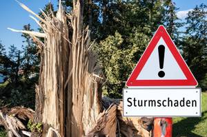 haus und grundbesitzer haftpflichtversicherung vergleich