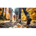 Gefütterte-Leggings-Test: Eine Gruppe Wanderer mit Walking-Sticks im Wald. 