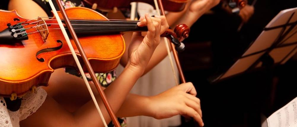 Geigenbogen-Test: Geigenbögen in Nahaufnahme beim Spielen im Orchester.