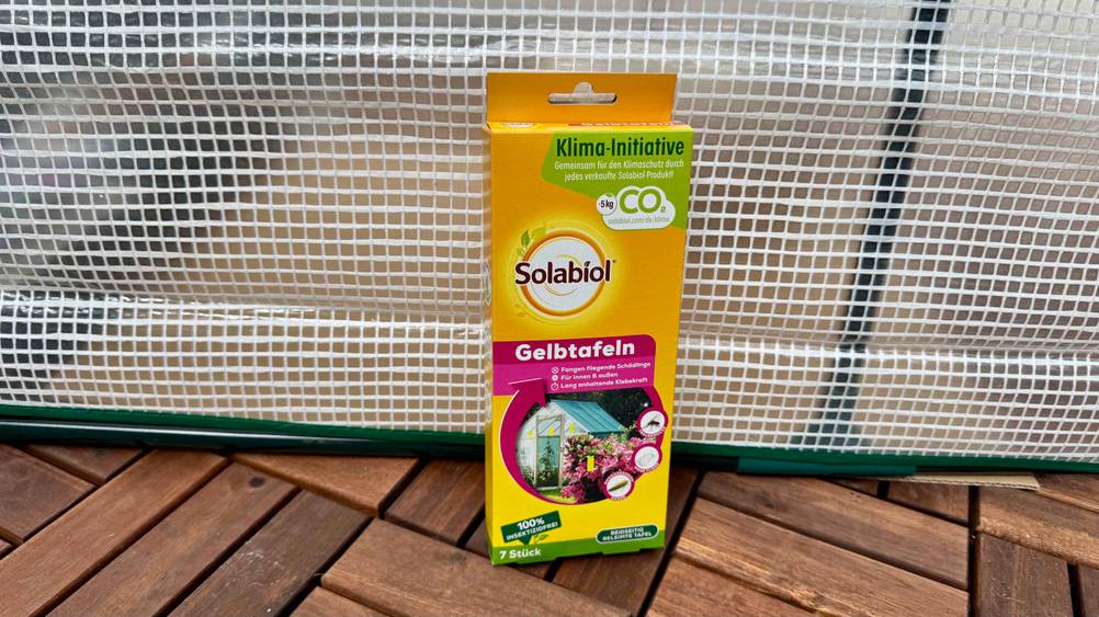 Vor einer transparenten Folie auf dem Boden steht eine Packung der getesteten Gelbtafeln.