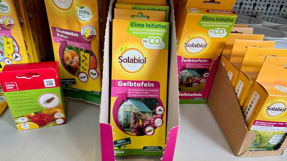 Mehrere Gelbtafeln im Test in einem Verkaufsregal.