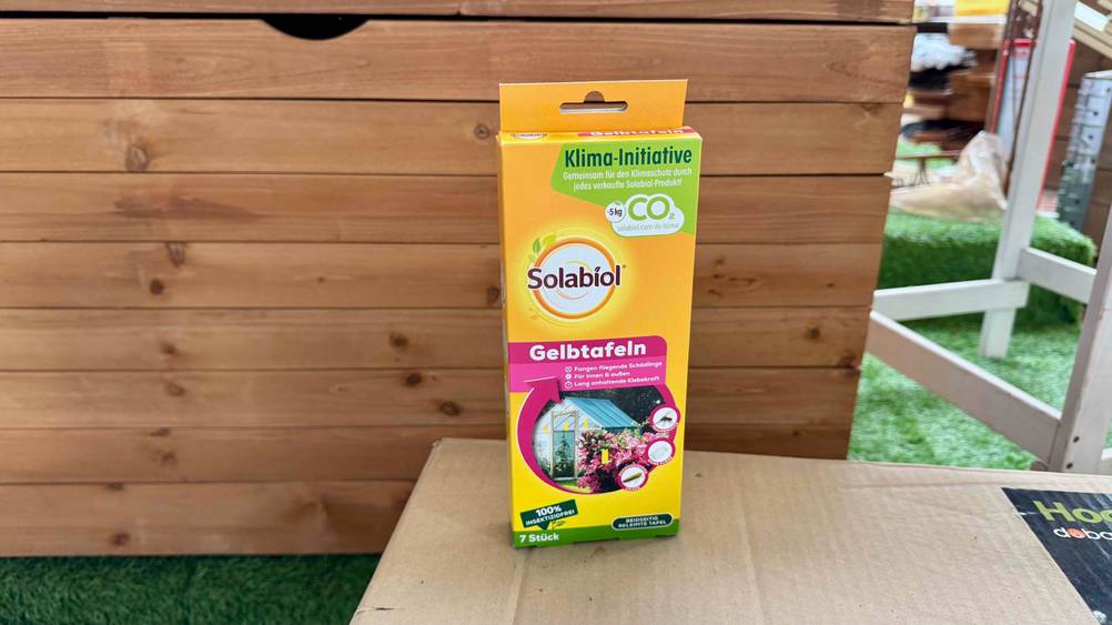Die getesteten Gelbtafeln auf einem Karton vor einer Holzbox.