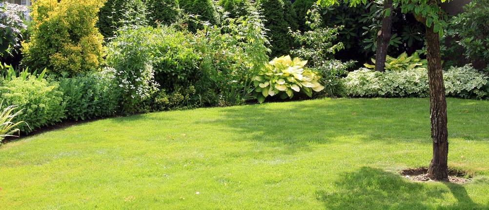 Kleiner Garten mit gemähtem Rasen.