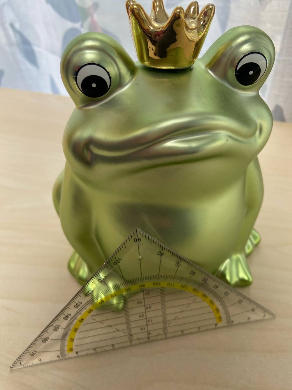 Geodreieck im Test: Vor einem grünen Frosch lehnt das Geodreieck.