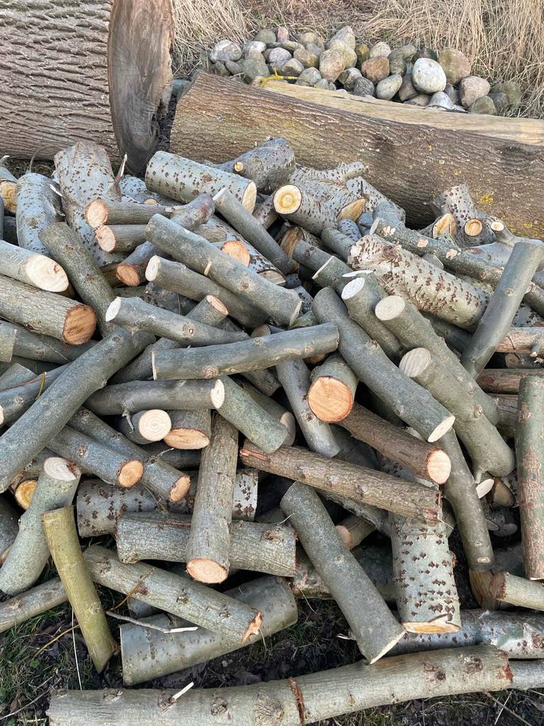 Ein Haufen getestetes Kaminholz liegt draußen auf dem Boden.