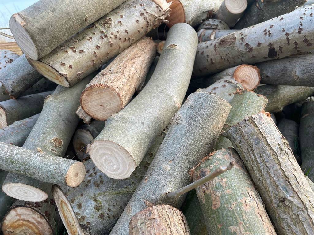Detailansicht von übereinanderliegendem Kaminholz im Test.