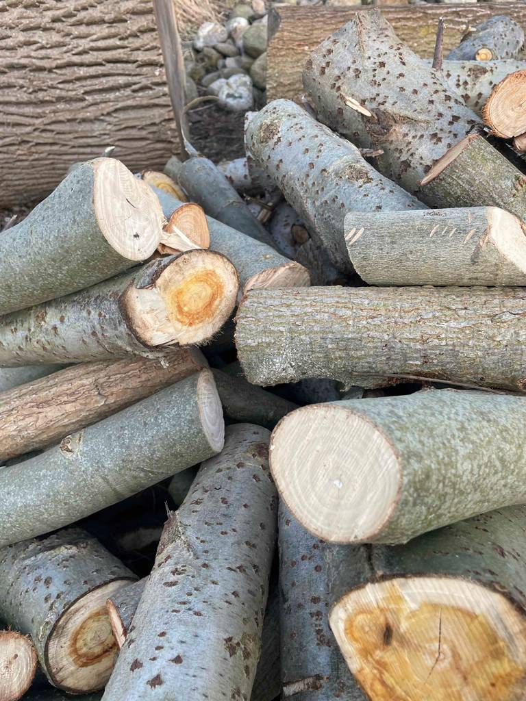 Kaminholz im Test liegt übereinander auf einem Haufen.