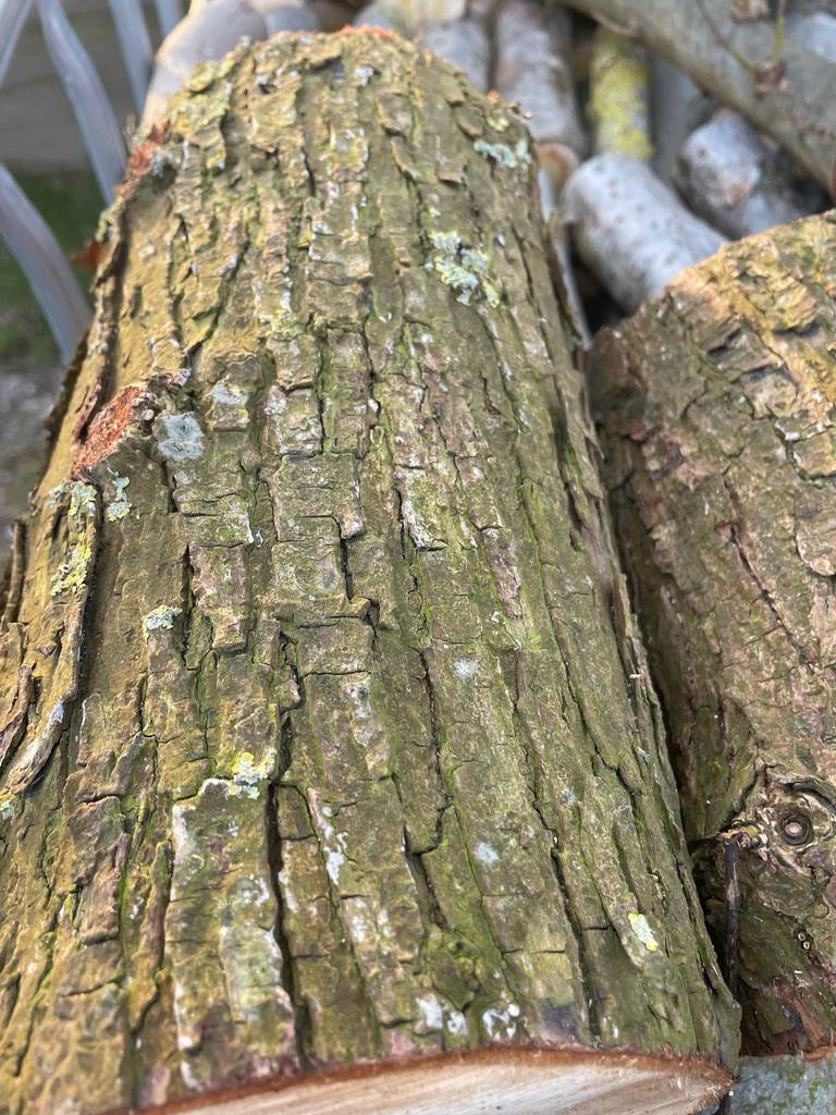 Ein Stück getestetes Kaminholz liegt auf einem Haufen.