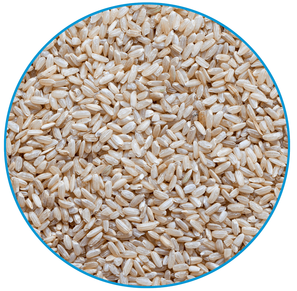getreidebrei-reis nährstoffe vitalstoffe mineralstoffe gesunde ernährung