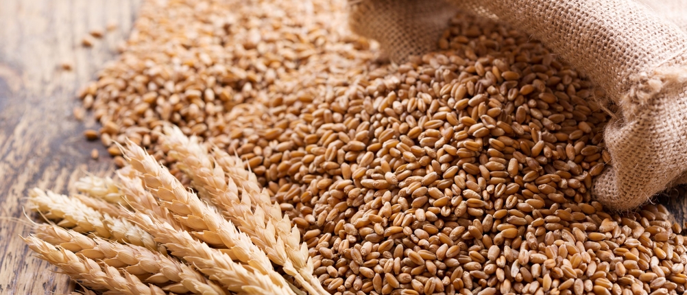 Hochleistungsmixer im Test: Getreidekörner und Weizenähren auf einer Holzoberfläche