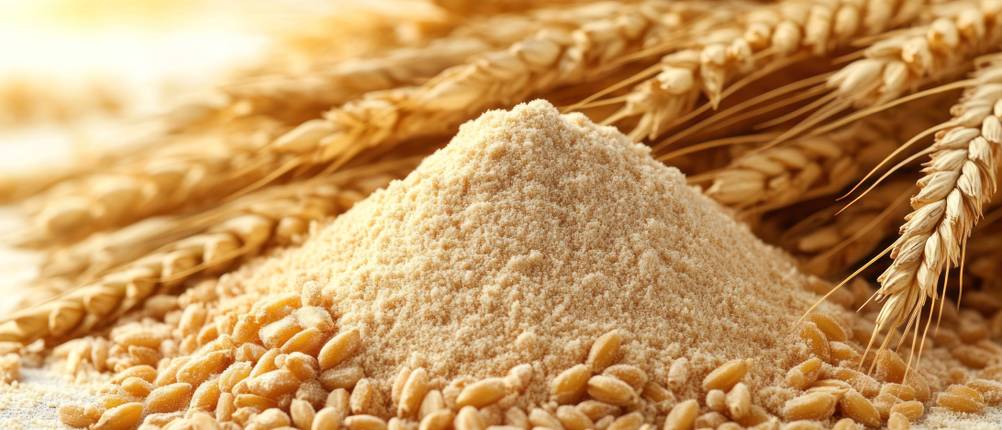 Manuelle Getreidemühle im Test: Frisch gemahlenes Mehl liegt neben noch ungemahlenem Getreide.