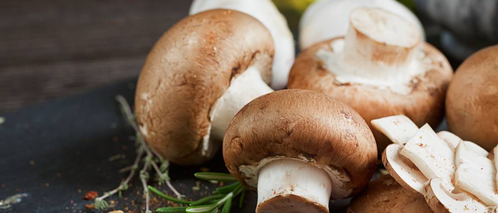 Getrocknete Champignons Test