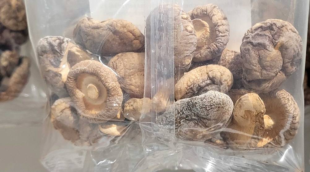 Getrocknete Pilze im Test: Nahaufnahme der Pilze in der transparenten Verpackung.