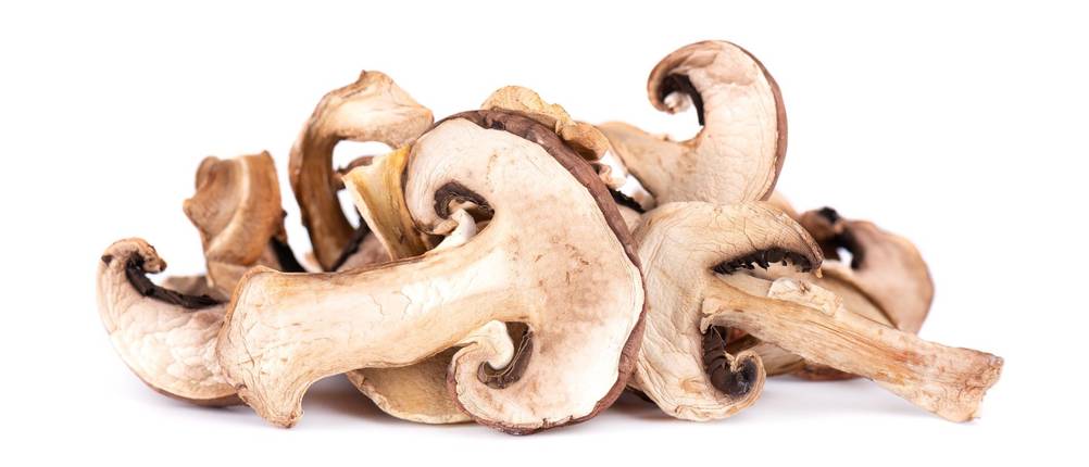 getrocknete-Steinpilze-Test