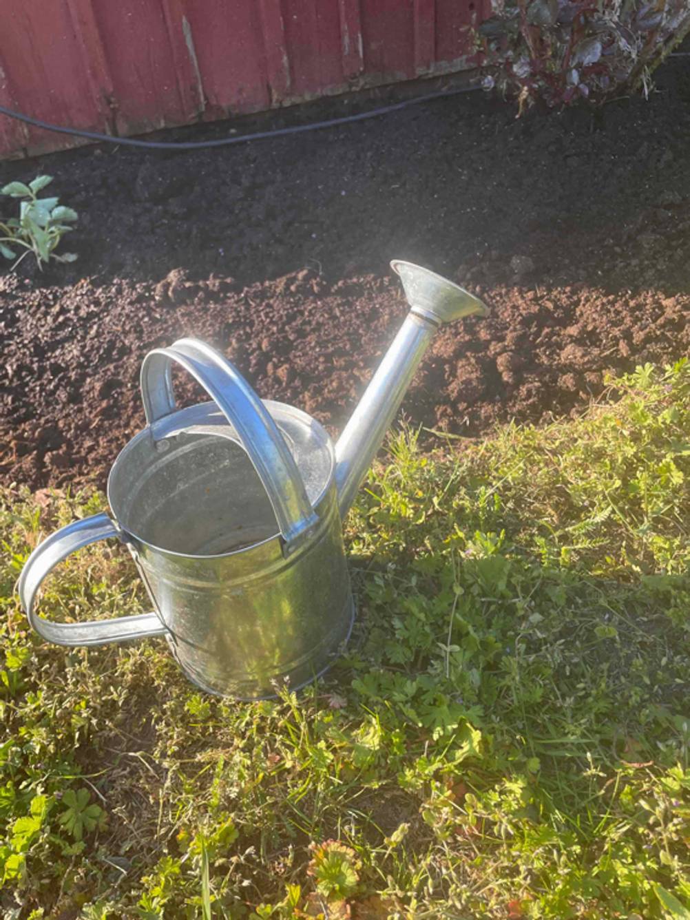Getestet: Eine Gießkanne von schräg seitlich auf einer Wiese stehend.