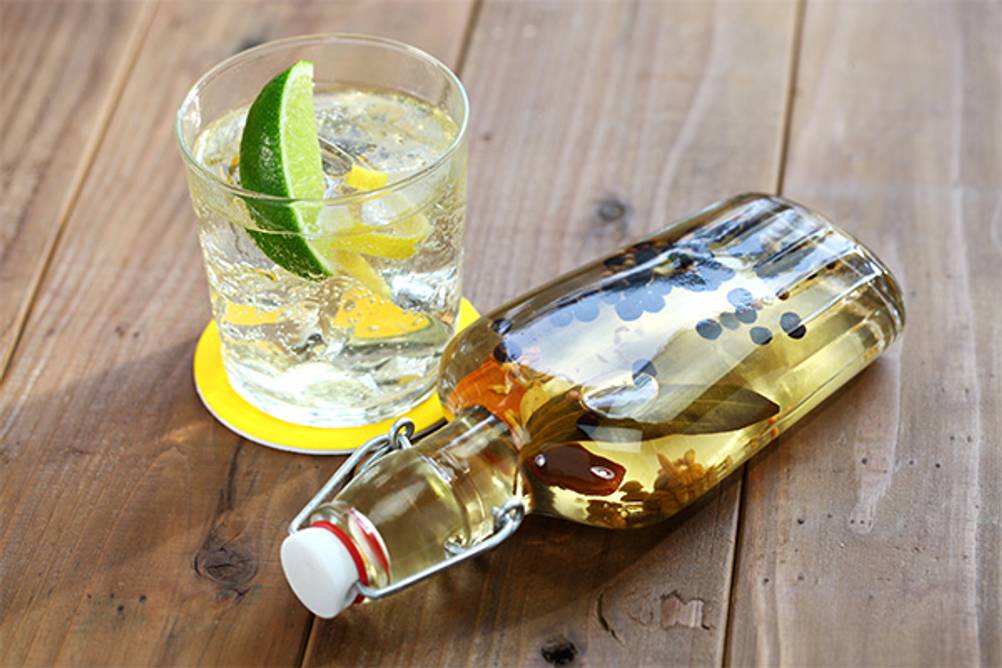 Gin-Baukasten im Test: Ein Gin Tonic mit Limette, sowie eine Flasche mit verschiedenen Botanicals.