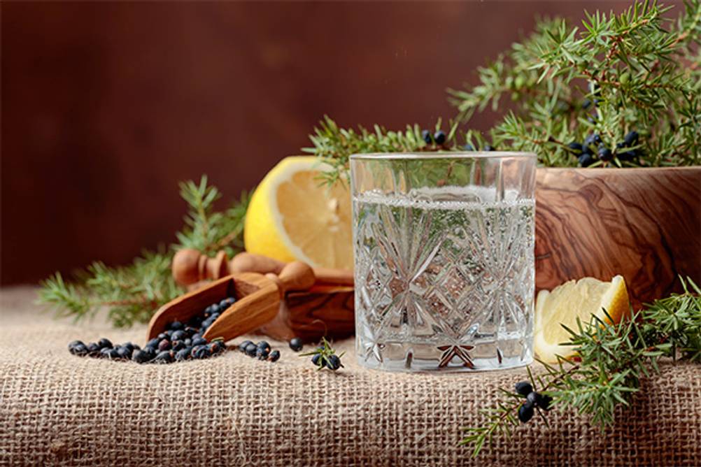 Gin-Baukasten im Test: Ein Glas Gin mit Wacholder und Zitrone als Garnitur.