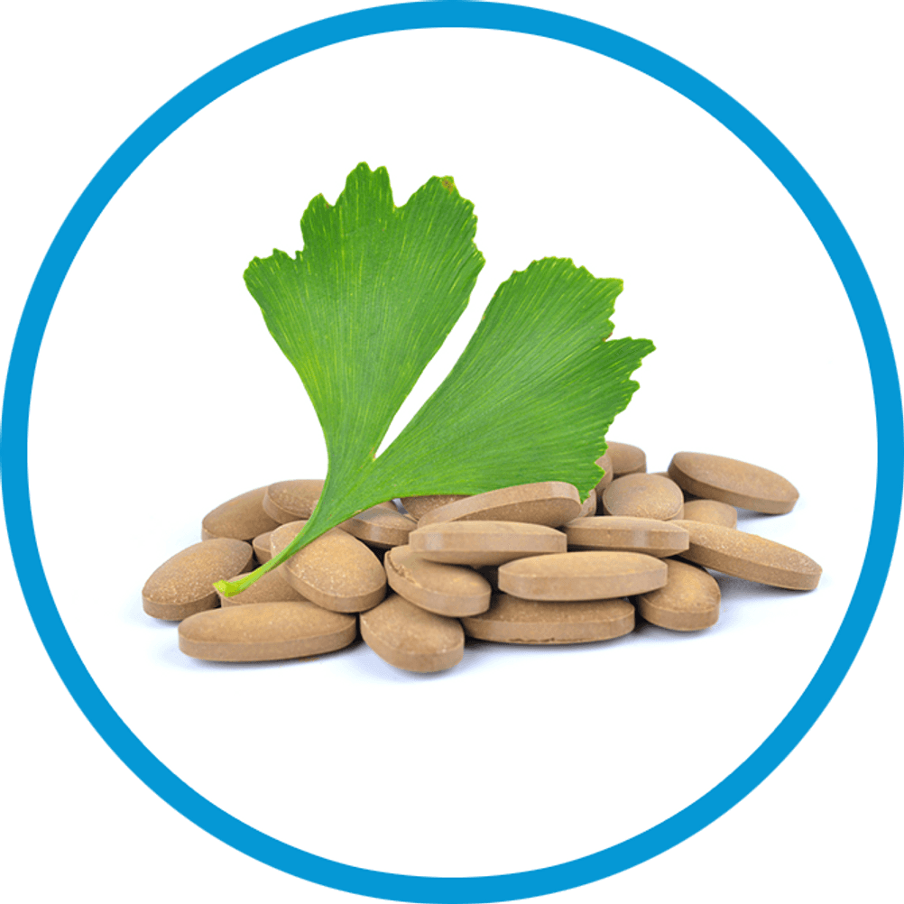 ginkgo tabletten