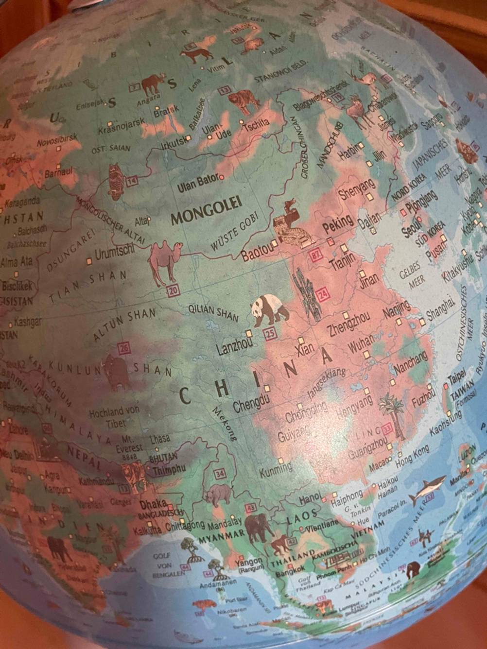 Globus-Test: Nahaufnahme von China mit Zeichnungen von Tieren.