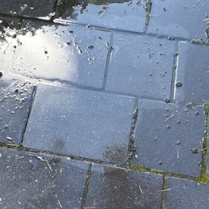 Ergebnis des Bodens nach der Reinigung mit dem Gloria MultiJet.