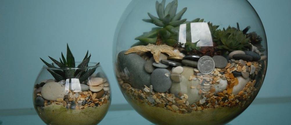 Goldfischglas Test