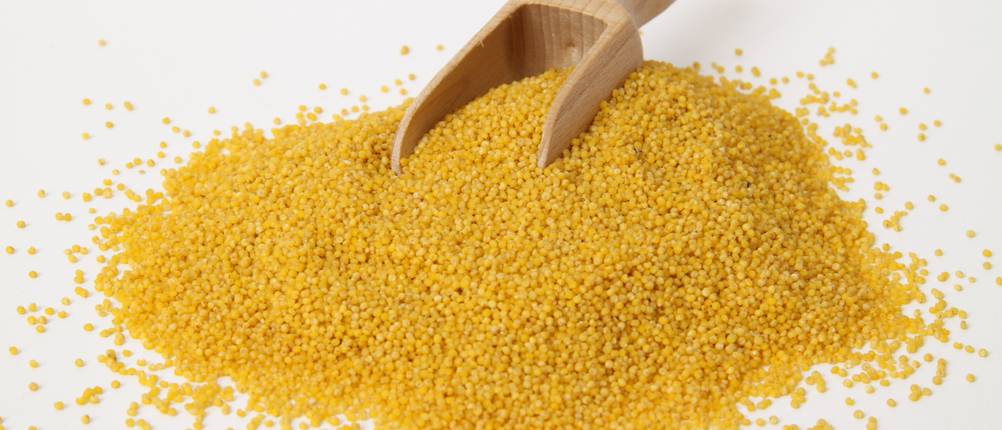 goldhirse-test