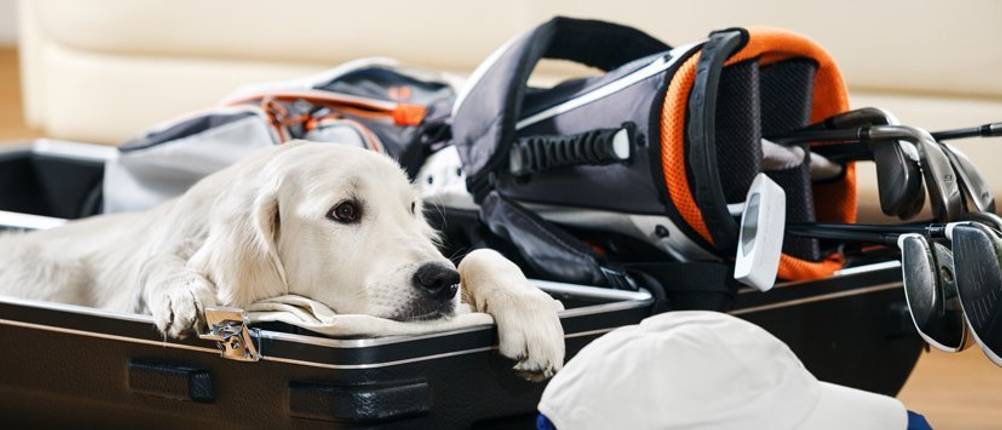 golf-travelcover-test