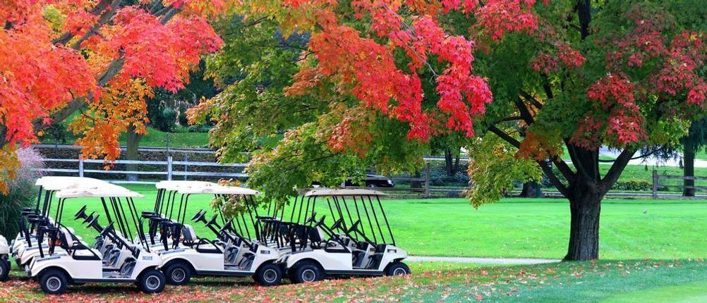 golf-trolley-golf