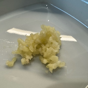 In einer weißen Schale liegt gepresster Knoblauch.