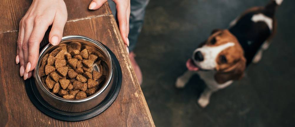GranataPet-Hundefutter-Test
