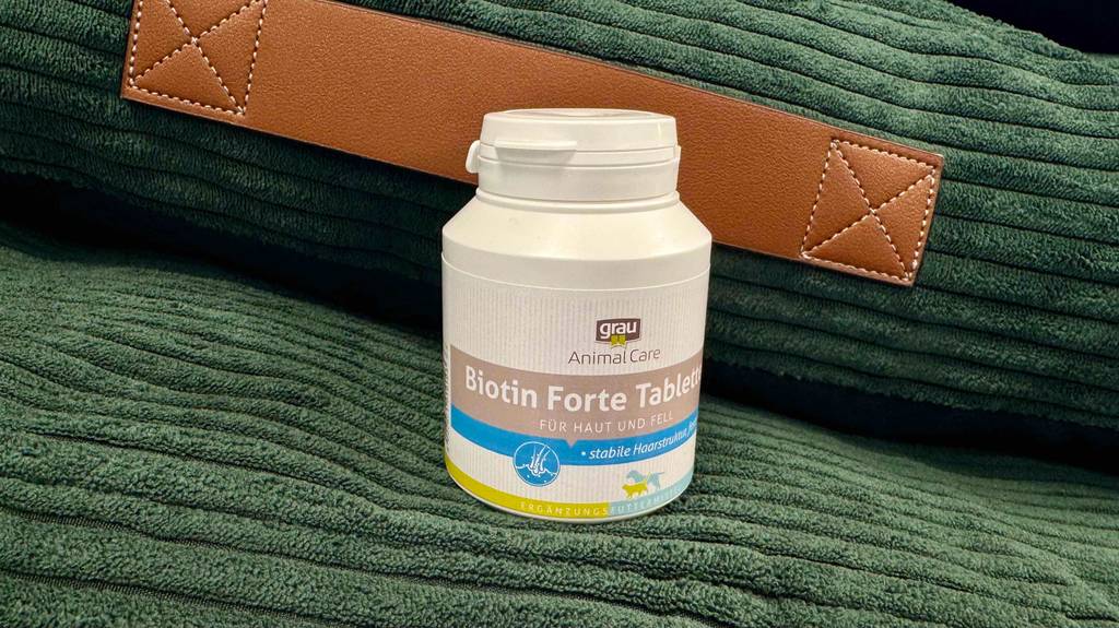 Biotin für Hunde getestet: Eine Dose steht auf einer grünen Samtfläche.