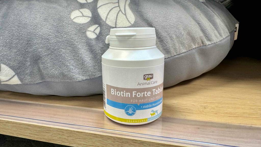 Eine Dose Biotin für Hunde steht zum testen vor einem hellen Kissen.
