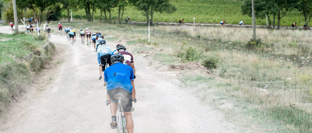 Gravel-Bikes von Scott sind sehr beliebt.