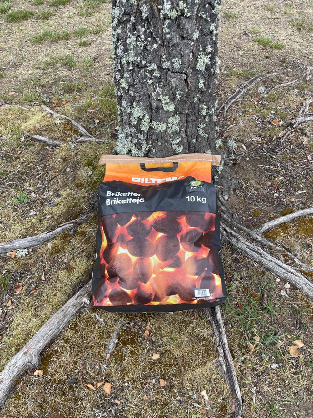Grillkohle an einen Baum gelehnt. 
