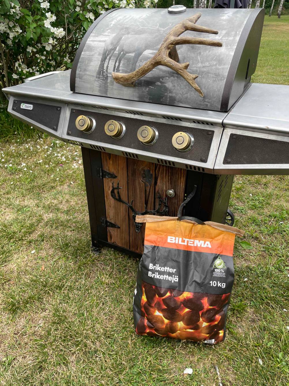 Grillbrikett steht neben einem Grill