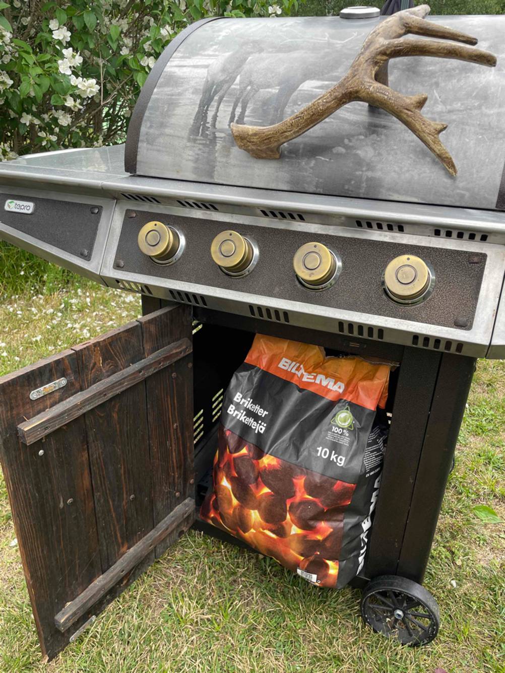 Grillbrikett im Ofen 