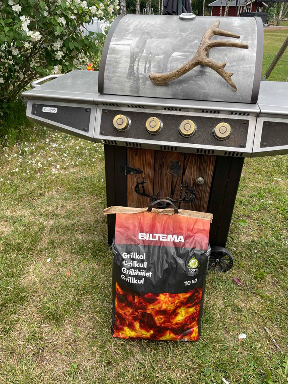 Grillkohle vor dem Grill im Test.