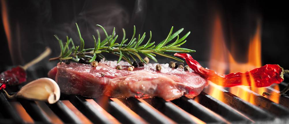 Grillrost-Gusseisen-Test